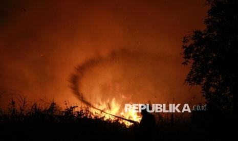 Presiden Bilang Tepung Singkong Percepat Pemadaman Karhutla, BRIN: Secara Teoritik Memungkinkan