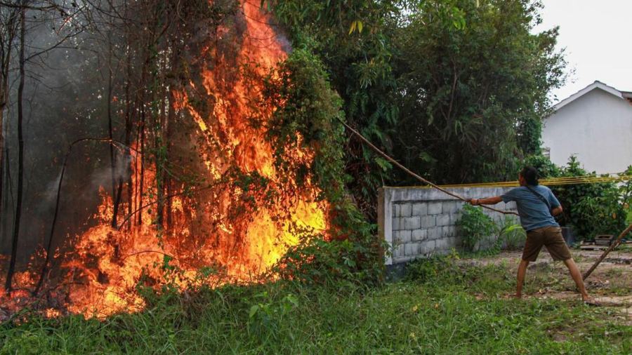 Dua Pelajar Diduga Bakar Lahan Ditangkap di Belitung Timur