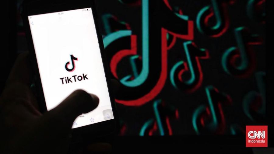 Siasat Karyawan Kuras Uang TikTok Vilmei Rp1,28 M: Kirim Gift Paus