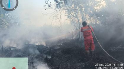Pemerintah Selidiki Korporasi di Kalbar Diduga Penyebab Karhutla