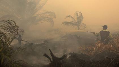 12 Perusahaan Diduga Jadi Biang Karhutla di Kalimantan