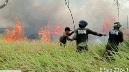 Kebakaran Way Kambas Meluas, Pemadaman Diperkuat Water Bombing dan Drone Thermal