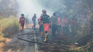 Penantian Lansia Berburu Kartu Layanan Gratis di CFD Jakarta