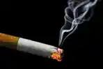 Penyebab Utama Kanker Paru adalah Rokok, Bagaimana Risikonya pada Perokok Pasif?
