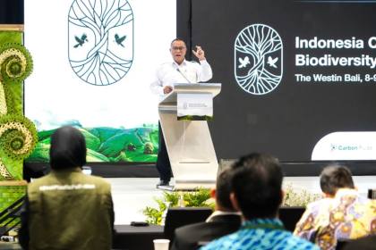Menteri LH: Pengembangan pasar karbon harus berbasis aksi iklim nyata
