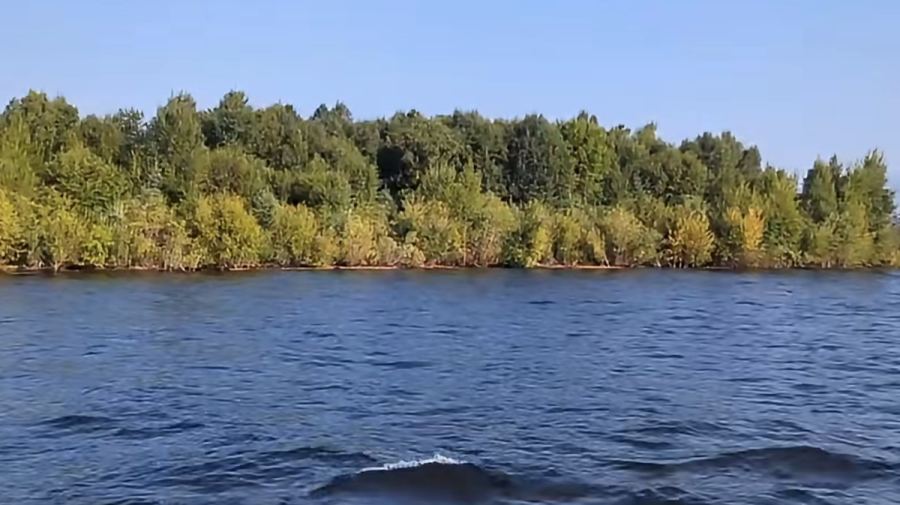 Heboh Hutan Tiba-Tiba Muncul di Tengah Danau, Semalam Hilang lagi