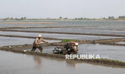 Jangan Meminggirkan Petani dari Pentas Pembangunan
