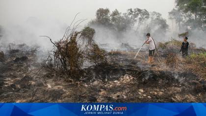 BNPB Sambut Positif Tawaran Bantuan dari Malaysia untuk Tangani Karhutla