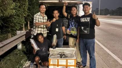 Ditpolairud Polda Metro Jaya Bongkar Penyelundupan 150 Ribu Benih Lobster dalam Mobil Pick Up