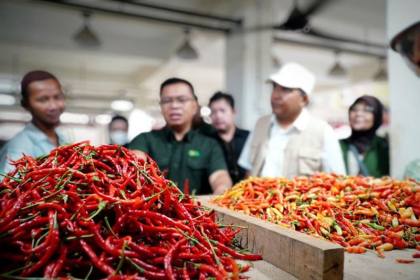 Bapanas-Kementan fasilitasi distribusi cabai demi stabilkan harga