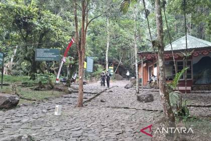 TNGGP perpanjang penutupan pendakian Gunung Gede