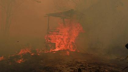 Ahli Ungkap Alasan Kebakaran Hutan Makin Sulit Dipadamkan