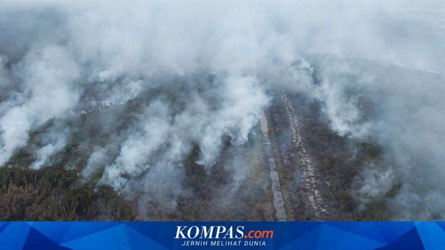 Karhutla Terjadi di Konsesi, Apakah Perusahaan Otomatis Bersalah? Ini Penjelasan Guru Besar IPB