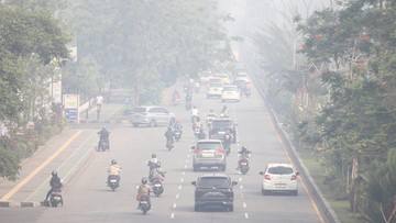 Kasus ISPA di Kalbar Capai 165 Ribu Akibat Karhutla