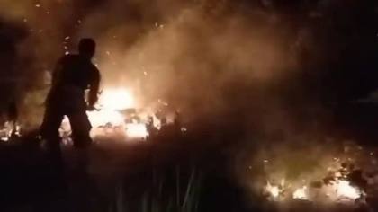 30 Hektare Lahan di Kolaka Timur Terbakar, Tim Gabungan Berjibaku Padamkan Api di Jurang dan Tebing