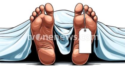 3 Pegawai Dinas Pertanian Tewas Ditembak KKB, DPR: Pelanggaran HAM Berat