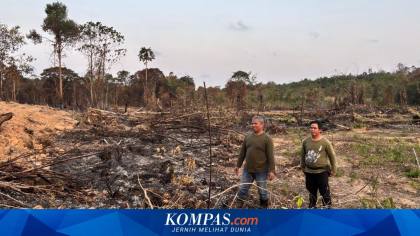BNPB Temukan 61 Titik Api di Sekitar IKN, 400 Hektar Lahan Terbakar