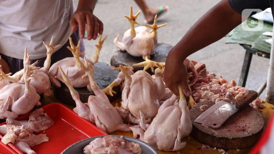 Harga Pangan 8 September 2026: Cabai dan Ayam Merangkak Naik