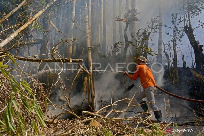 BNPB: Petugas berjibaku padamkan karhutla di dekat SMA 3 Barru Sulsel