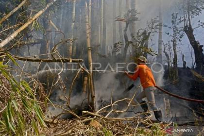 BNPB: Petugas berjibaku padamkan karhutla di dekat SMA 3 Barru Sulsel