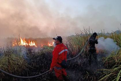 Bupati Lampung Timur pastikan penanganan karhutla TNWK berjalan cepat