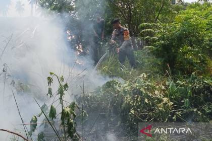 Polri telah tetapkan 113 orang sebagai tersangka kasus karhutla