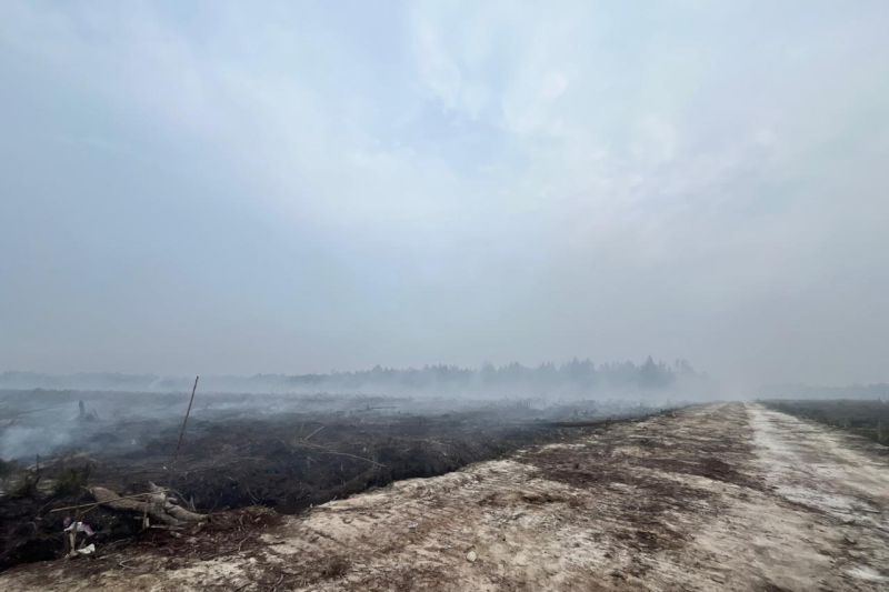 Polres Bengkalis tetapkan tersangka garap 270 hektar hutan SM GSK
