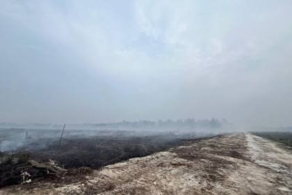 Polres Bengkalis tetapkan tersangka garap 270 hektar hutan SM GSK