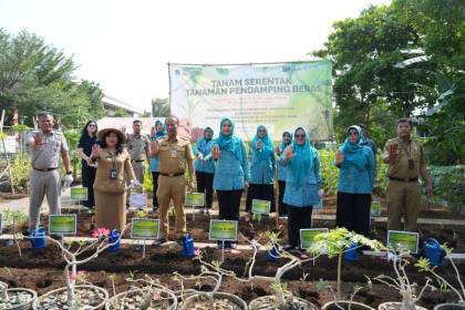Pemkot Jakut tanam komoditas pangan pendamping beras di 70 lokasi