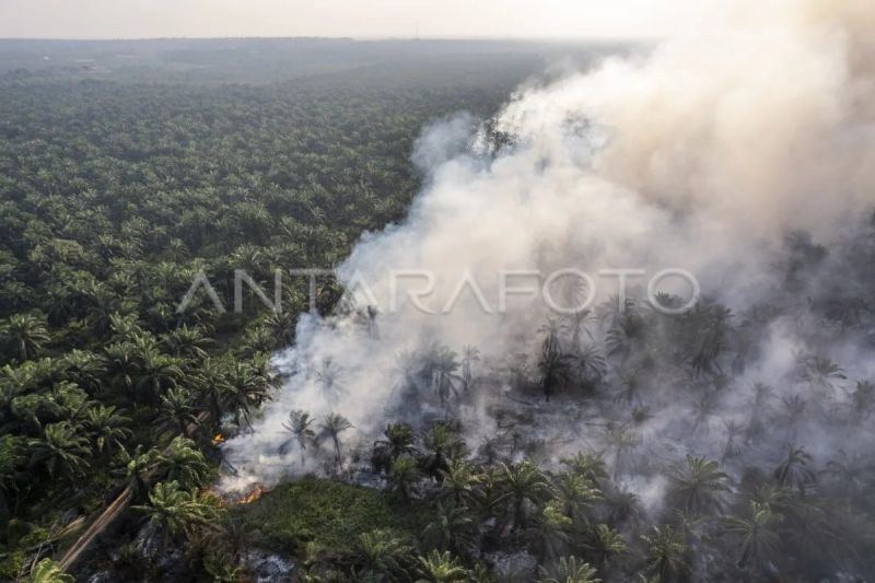 BNPB: Helikopter terbang 15 jam semai garam hujan buatan di Jambi