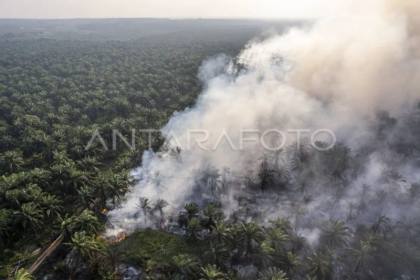 BNPB: Helikopter terbang 15 jam semai garam hujan buatan di Jambi