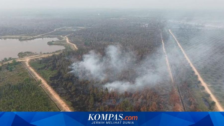 Pemerintah Diminta Manfaatkan Bantuan Malaysia untuk Percepat Penanganan Karhutla
