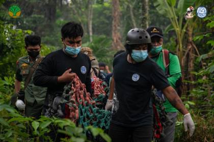 BKSDA-YIARI kembali evakuasi enam orangutan dampak karhutla di KKU