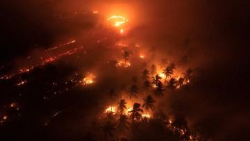 Update Karhutla: 19 Perusahaan Diduga Biang Kerok, Kasus ISPA Melonjak