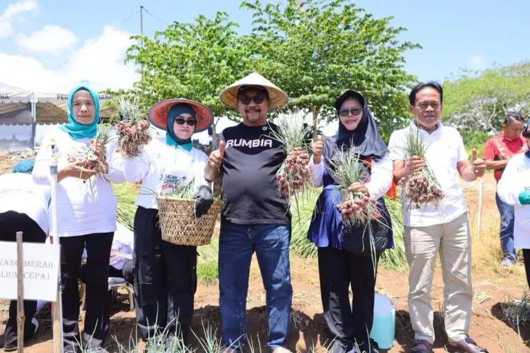 Bombana Mulai Bidik Bawang Merah sebagai Komoditas Pertanian Baru