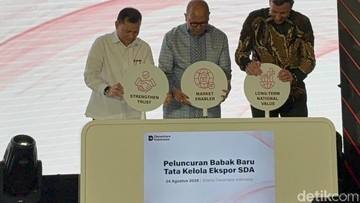 PT DSI Mulai Beroperasi, Ini Susunan Pengurusnya