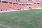 Kondisi Rumput JIS Memprihatinkan Jelang Laga Uji Coba Persija Vs Brisbane Roar