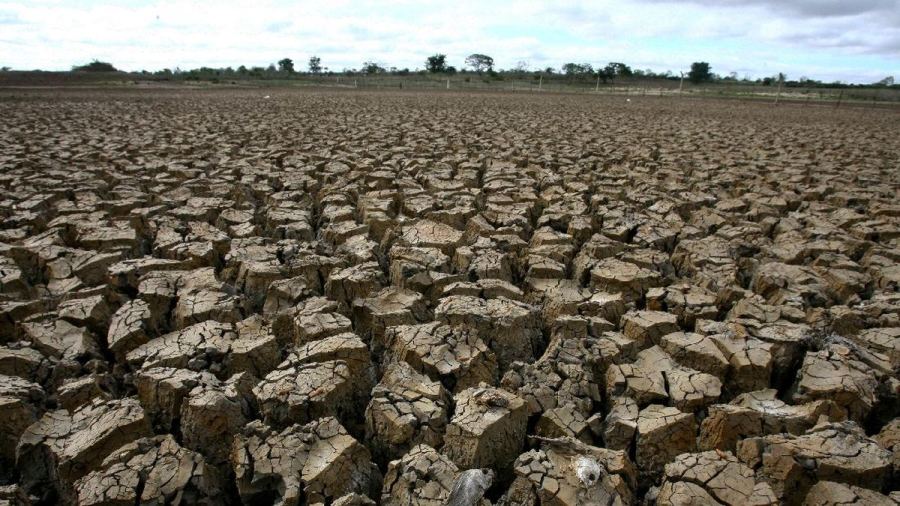 Empat Wilayah Kabupaten di Bali Terdampak Kekeringan