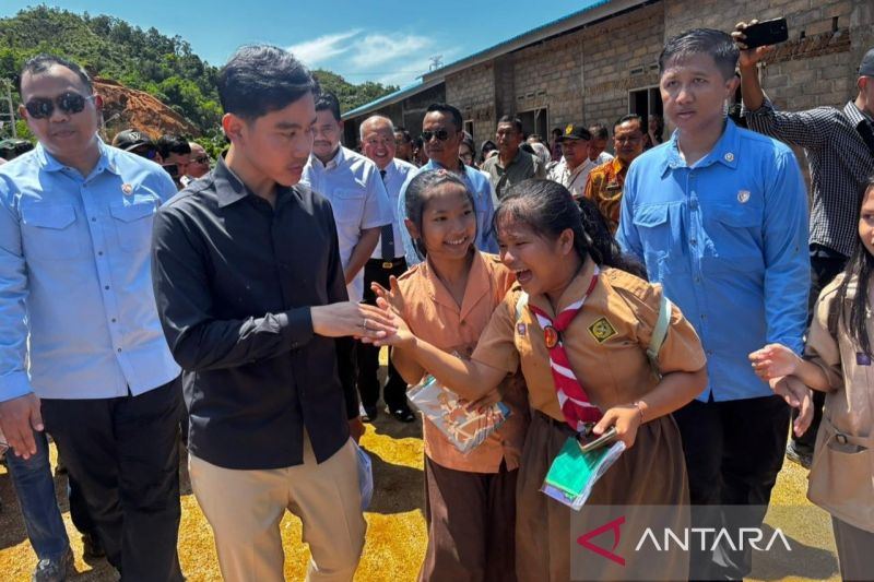 Gibran ke pemda soal pemulihan Sumut: Jangan tunggu viral
