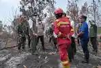 Karhutla Kalbar Berdampak pada Satwa, Orangutan Ditemukan Tak Sadar dan Trenggiling Mati