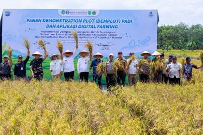 Tatkala emas hijau dan teknologi menyatu di timur Kalimantan