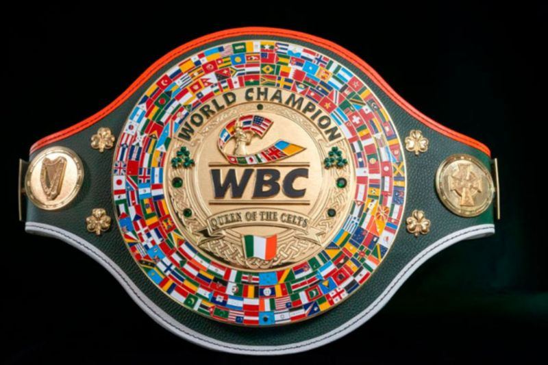 WBC siapkan sabuk khusus bagi Katie Taylor pada laga perpisahan