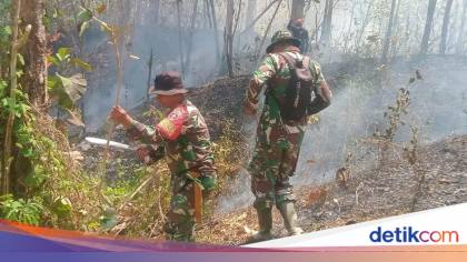 TNI Bantu Padamkan Karhutla di Gunung Latimojong-Lakawan Enrekang