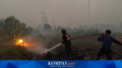 Asap Karhutla Ganggu Penerbangan di Kalimantan, Sejumlah Penerbangan Dibatalkan