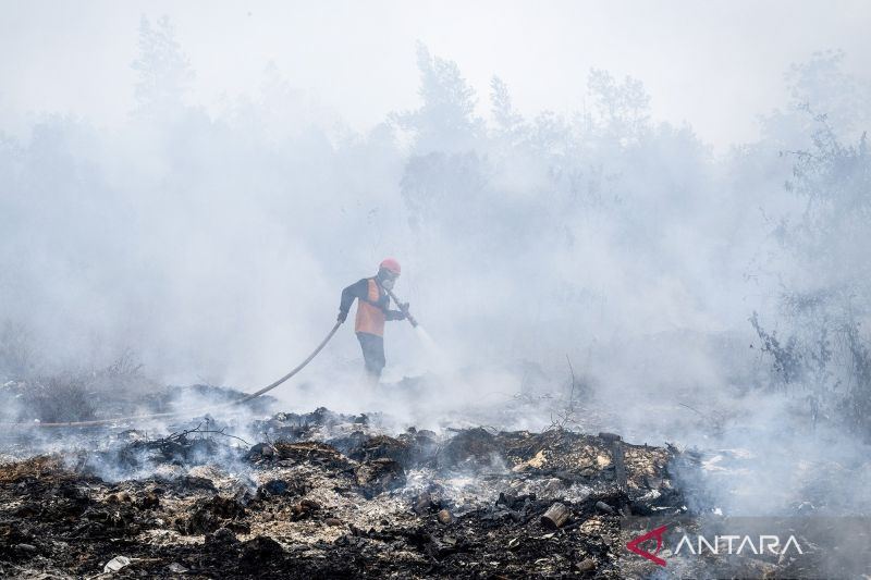 BNPB: OMC di Kalteng belum menghasilkan hujan