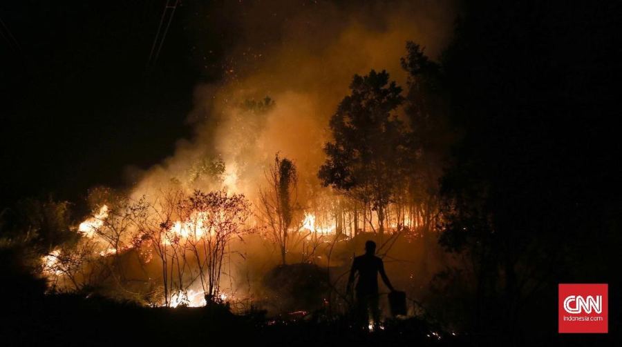 Muara Enim Sumsel Zona Merah Karhutla, 423,5 Ha Lahan Terbakar