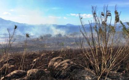 BMKG: Pertanian Waspadai Puncak Kemarau yang Diperparah El Nino Kuat