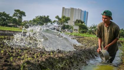 Punya Prospek Besar di Masa Depan, Apa itu Green Jobs?