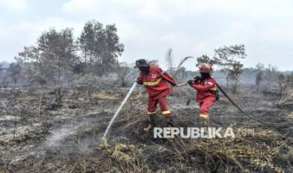 Karhutla Berulang Tiap Tahun, Kompolnas Desak Polisi Usut Aktor Utama