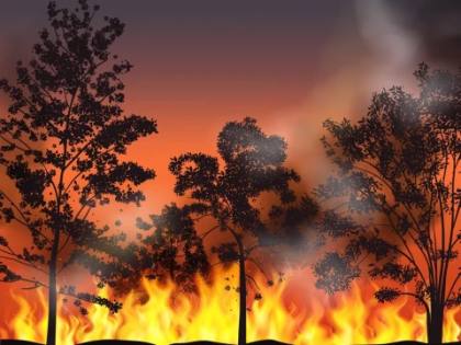 6.902 Hotspot di Kalimantan Bikin Udara Tak Sehat, Tata Kelola Karhutla Disorot